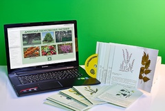 Гербарий натурально-интерактивный "Лекарственные растения" - fgospostavki.ru - Ейск