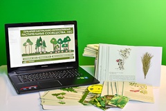 Гербарий натурально-интерактивный "Растительные сообщества. Лес" - fgospostavki.ru - Ейск