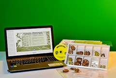 Коллекция натурально-интерактивная "Палеонтологическая" - fgospostavki.ru - Ейск