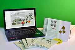 Гербарий натурально-интерактивный "Деревья и кустарники" - fgospostavki.ru - Ейск