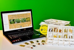 Коллекция натурально-интерактивная "Плоды сельскохозяйственных растений" - fgospostavki.ru - Ейск