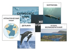 Модель-аппликация "Океаны. Знакомство" (ламинированная) - fgospostavki.ru - Ейск