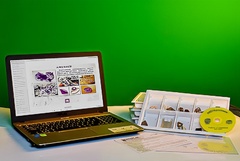 Коллекция натурально-интерактивная "Кварц в природе" - fgospostavki.ru - Ейск