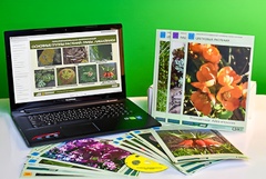 Гербарий натурально-интерактивный "Основные группы растений. Грибы. Лишайники" - fgospostavki.ru - Ейск