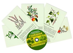 Интерактивный наглядный комплекс "Гербарий "Для начальной школы" - fgospostavki.ru - Ейск