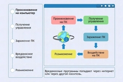 Интерактивные курсы. Информатика 10 класс . Базовый. - fgospostavki.ru - Ейск