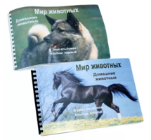 Пособие для слабовидящих - Домашние животные - fgospostavki.ru - Ейск