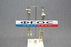 Скелет конечности овцы (передняя и задняя) на подставке - fgospostavki.ru - Ейск
