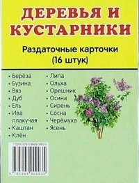 Раздаточные карточки "Деревья и кустарники" - fgospostavki.ru - Ейск