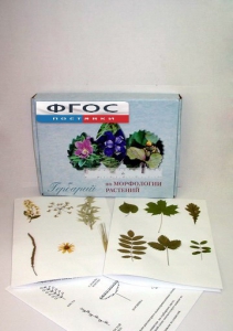Гербарий "Морфология растений" (5 тем х 3 листа) - fgospostavki.ru - Ейск