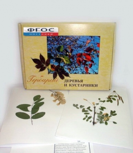 Гербарий "Деревья и кустарники" (20 видов) - fgospostavki.ru - Ейск