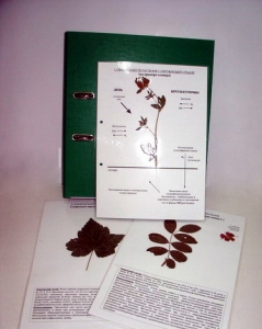 Гербарий к курсу основ общей биологии (20 листов, ламинированный) - fgospostavki.ru - Ейск