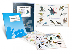 Комплект кодотранспарантов "Зоология. Птицы" - fgospostavki.ru - Ейск