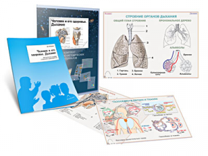 Комплект кодотранспарантов "Человек и его здоровье. Дыхание" - fgospostavki.ru - Ейск