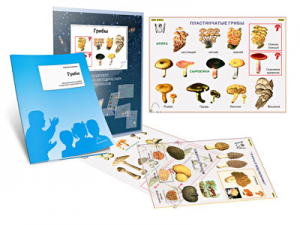 Комплект кодотранспарантов "Грибы" - fgospostavki.ru - Ейск