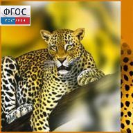 Зоология. (Цифровая база изображений) - fgospostavki.ru - Ейск