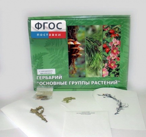 Гербарий "Основные группы растений" (52 листа) - fgospostavki.ru - Ейск