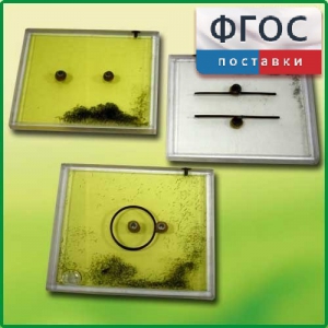 Набор для демонстрации электрических полей - fgospostavki.ru - Ейск