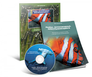 Электронное наглядное пособие «Рыбы. Земноводные. Пресмыкающиеся» - fgospostavki.ru - Ейск