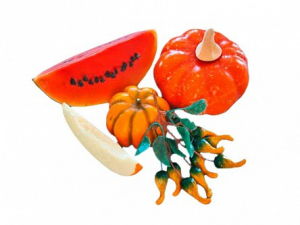 Набор муляжей "Бахчевые культуры" - fgospostavki.ru - Ейск