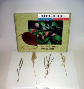 Гербарий "Культурные растения" (28 видов) - fgospostavki.ru - Ейск