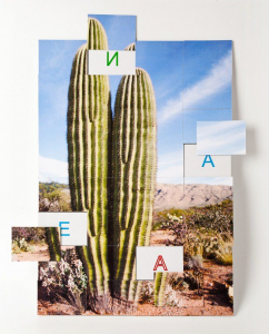 Магнитная орфография (безударные гласные, 1 класс) "Кактус" - fgospostavki.ru - Ейск