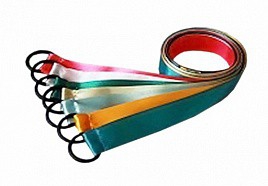 Лента гимнастическая на кольце (1 метр) - fgospostavki.ru - Ейск