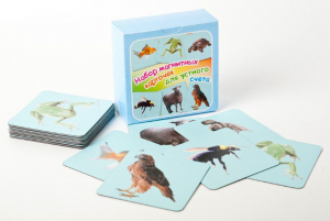 Набор магнитных карточек "Устный счет" (фон голубой) - fgospostavki.ru - Ейск