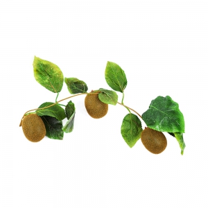 Ветка муляжей "Киви" - fgospostavki.ru - Ейск