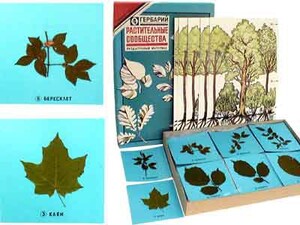 Гербарий "Растительные сообщества" - fgospostavki.ru - Ейск