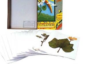 Гербарий "Сельскохозяйственные растения России" - fgospostavki.ru - Ейск