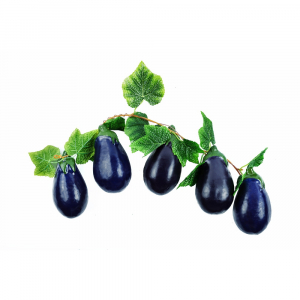 Ветка муляжей "Баклажаны" - fgospostavki.ru - Ейск