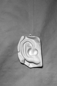 Гипсовая модель "Ухо" - fgospostavki.ru - Ейск