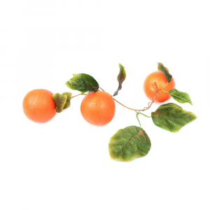 Ветка муляжей "Апельсины" - fgospostavki.ru - Ейск