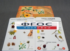 Коллекция "Семена и плоды" - fgospostavki.ru - Ейск
