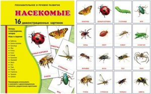 Демонстрационные карточки "Насекомые" - fgospostavki.ru - Ейск