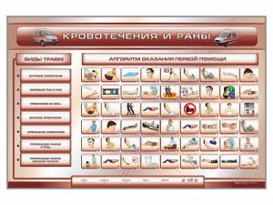 Трехсекционный базовый комплект "Травмы. Кровотечения. Ожоги" для учащихся общеобразовательных учреждений - fgospostavki.ru - Ейск