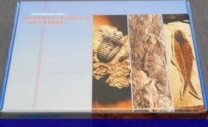 Коллекция "Палеонтологическая" (16 образцов) - fgospostavki.ru - Ейск