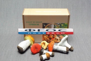 Набор муляжей грибов - fgospostavki.ru - Ейск