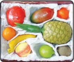 Набор муляжей тропических фруктов - fgospostavki.ru - Ейск