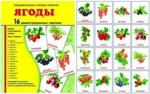 Демонстрационные карточки "Ягоды" - fgospostavki.ru - Ейск