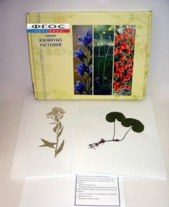Гербарий "Ядовитые растения" (20 видов) - fgospostavki.ru - Ейск