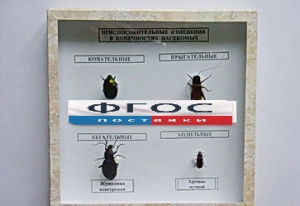 Коллекция энтомологическая "Приспособительные изменения в конечностях насекомых" - fgospostavki.ru - Ейск