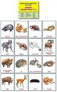 Раздаточные карточки "Дикие животные (1)" - fgospostavki.ru - Ейск