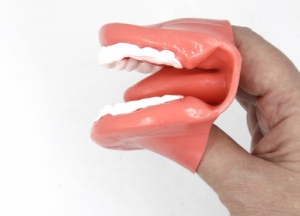 Муляж рта (мини) - fgospostavki.ru - Ейск