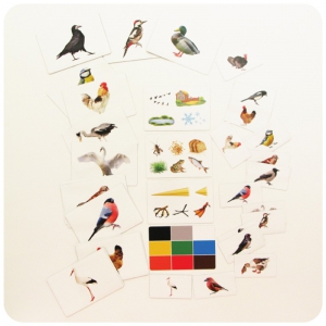 Набор магнитных карточек "Загадки-отрицания". Птицы - fgospostavki.ru - Ейск