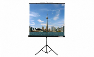 Проекционный экран на штативе Lumien Eco View (LEV-100105) 160x160 см - fgospostavki.ru - Ейск