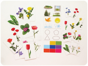 Набор магнитных карточек "Загадки-отрицания". Цветы - fgospostavki.ru - Ейск