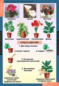 Комплект таблиц. Окружающий мир 1 класс. - fgospostavki.ru - Ейск
