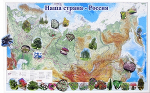 Магнитные карточки "Растения" - fgospostavki.ru - Ейск